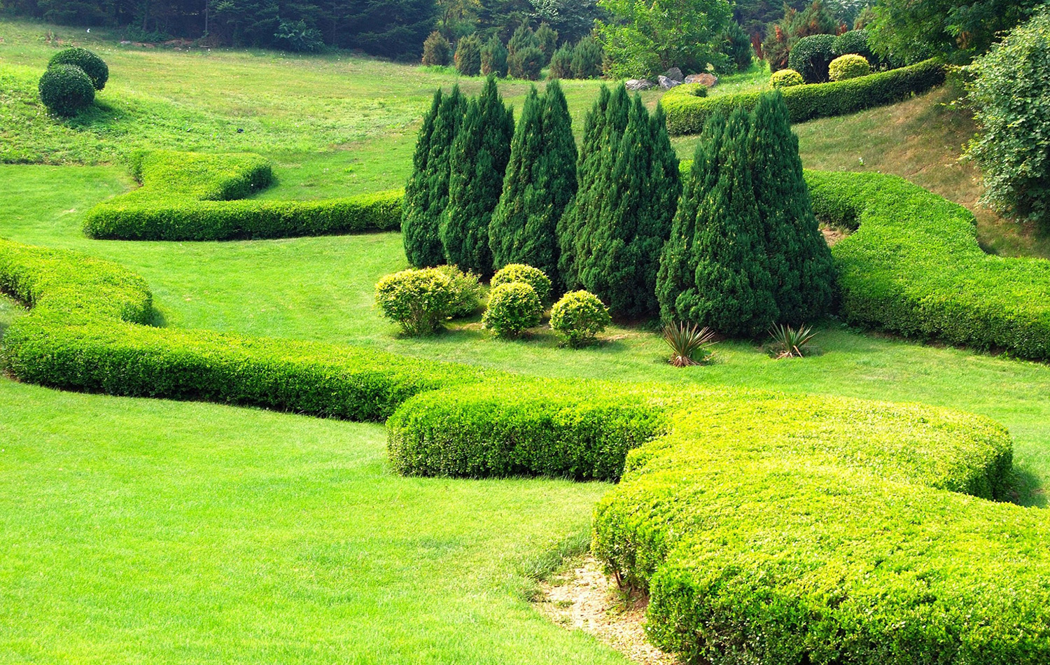 Garden